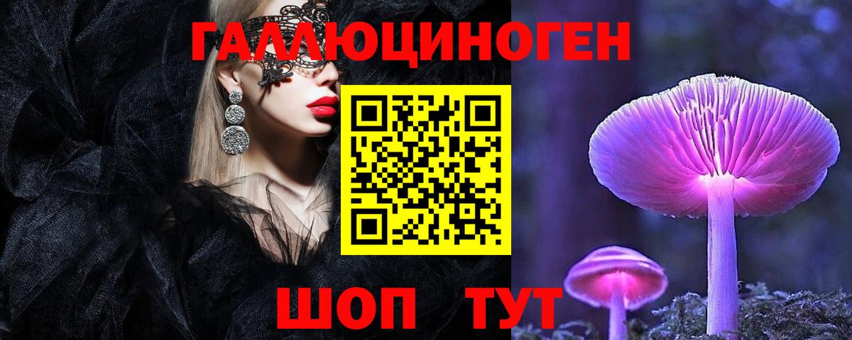 Псилоцибиновые грибы мухоморы Алексин